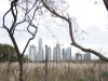 Natuurgebied bij Buenos Aires