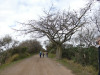 Natuurgebied bij Buenos Aires
