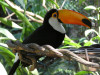 11004441_copy_1600x1200