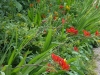 2007 Les jardins de Claude Monet, Giverny, Frankrijk