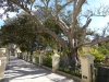 2020 Argotti Botanic Gardens Valletta Malta