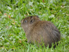 1100647_copy_1600x1200
