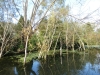 1070465_copy_1280x960