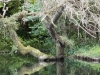 1070473_copy_1280x960