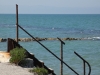 Barletta