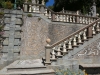 Collodi