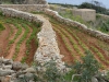 Hagar Qim en Mnajdra, Malta