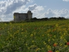 Marsaxlokk, Malta