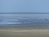 Noord Fryslan 2022