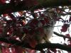 1090577_FHD